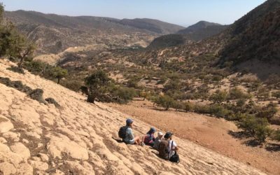 Tawada Hiking