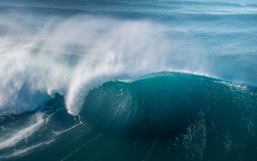 Lire les prévisions de surf.