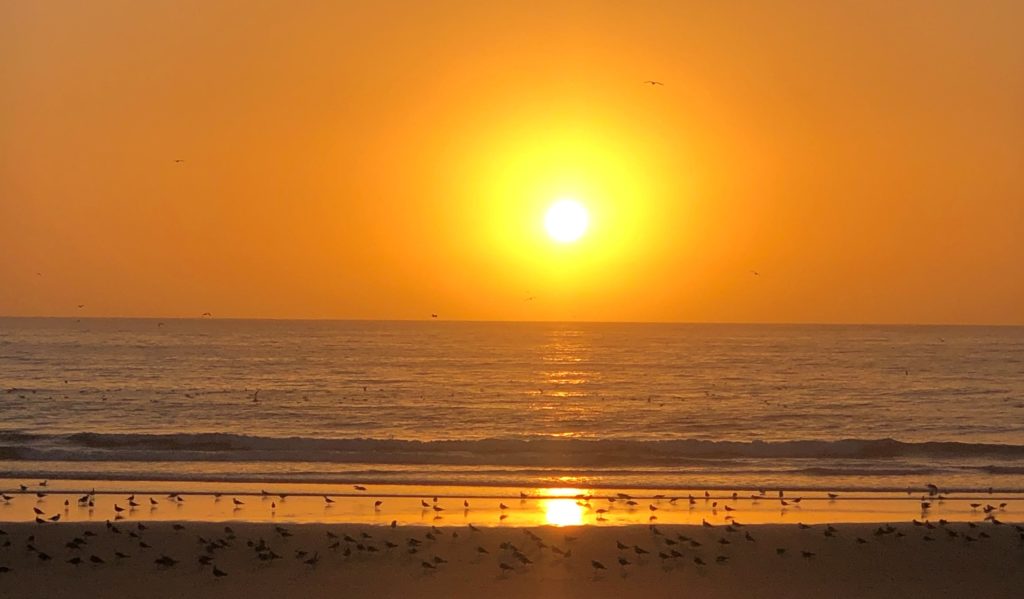 A stunning sunset at Banana Beach, Morocco, with the sky painted in vibrant hues of orange and pink, and the tranquil ocean in the background.