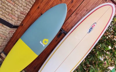 Wie wählt man sein Surfbrett aus?