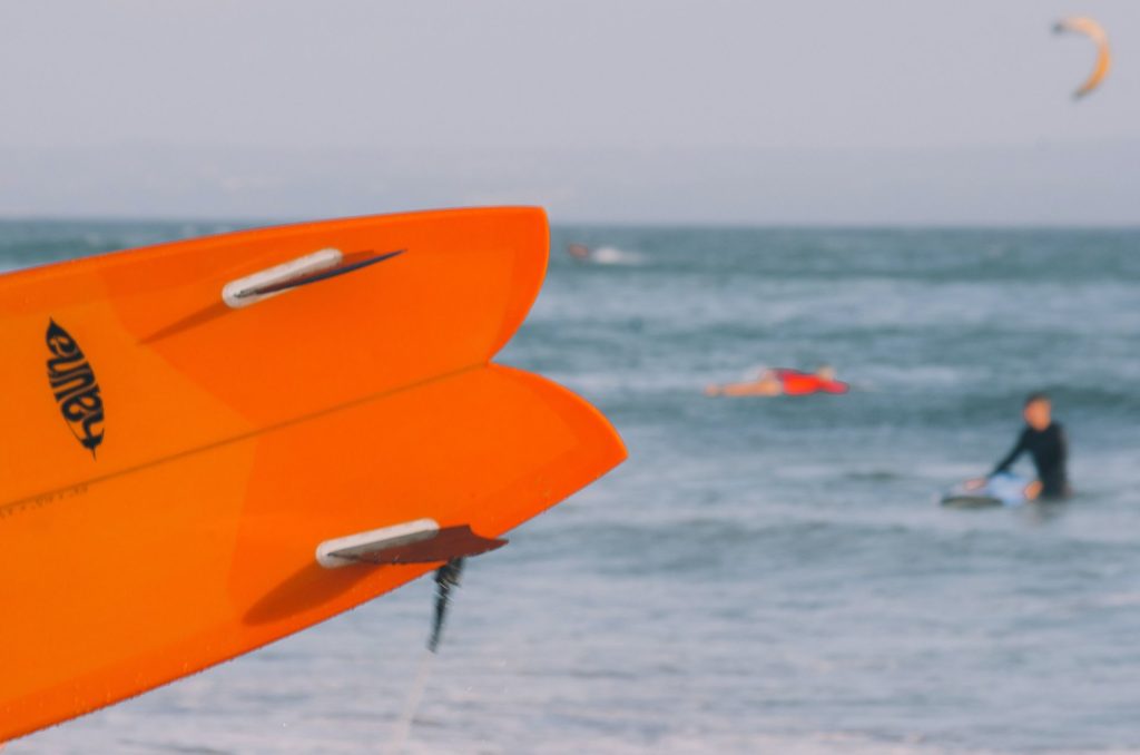 The twin fins surf board 