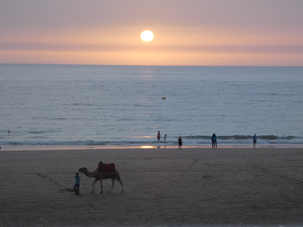 Surfeur profitant du coucher de soleil à Agadir après une journée de surf
